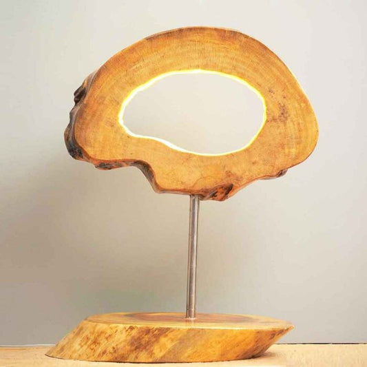 Wood Log Aesthetic Lamp