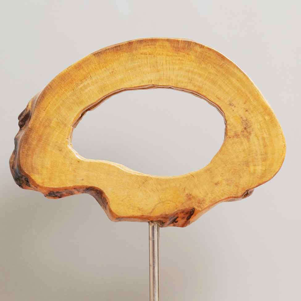 Wood Log Aesthetic Lamp