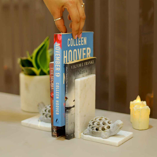 Turtle Marble Bookends Set Of 2